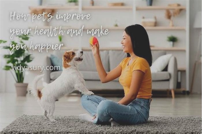 Premium Pet Fare Investing in Your Dog s Health and Happiness