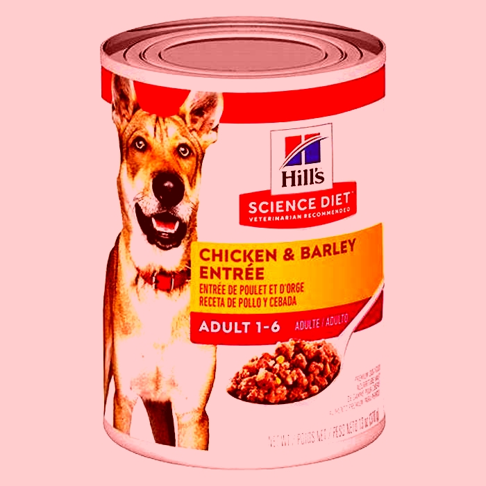 Premium Pet Food: Nourishing Your Dog with Hill's Science Diet