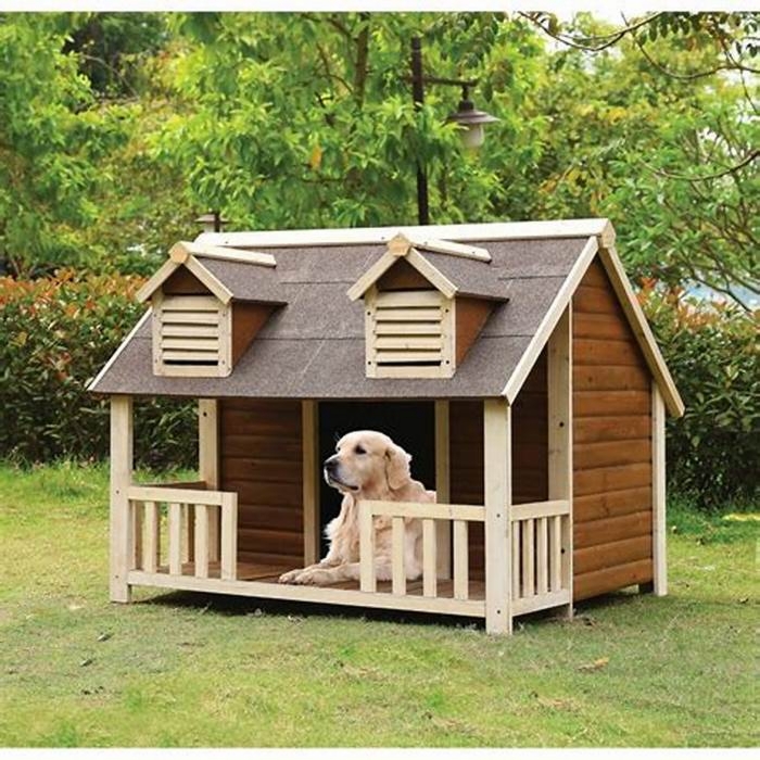 Premium Pet Houses Treating Your Furry Friend to Luxurious Shelter