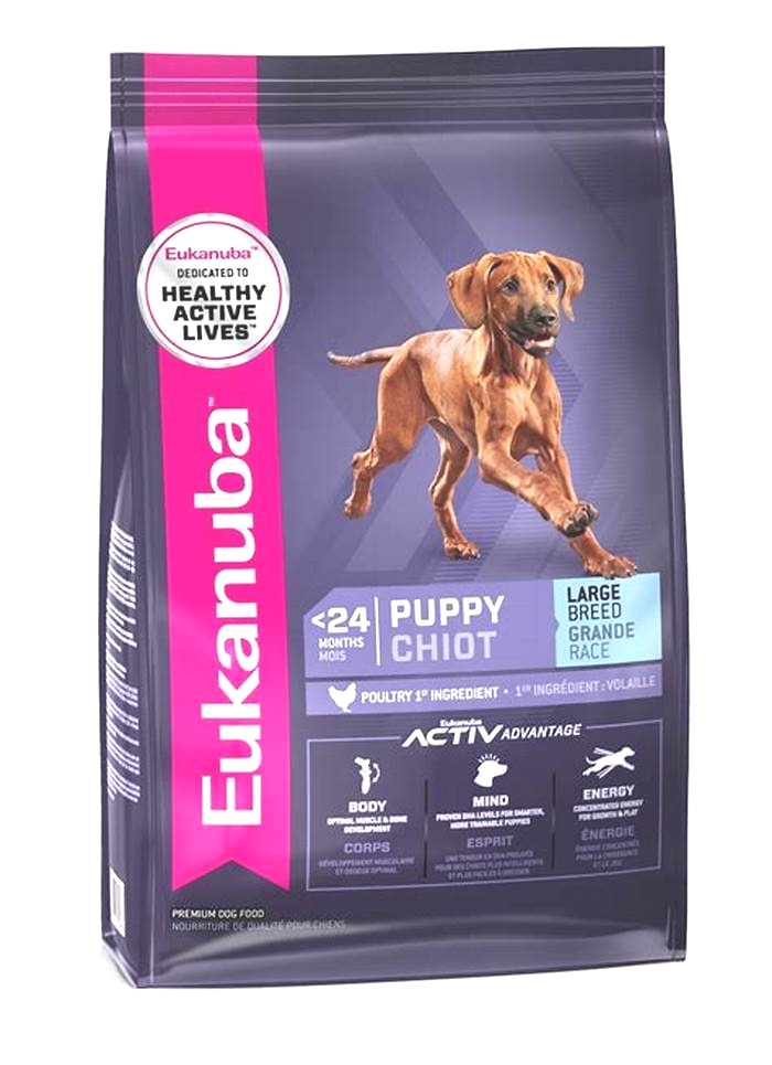 Size Matters: Why Eukanuba's Large Breed Puppy Formulas Are Essential