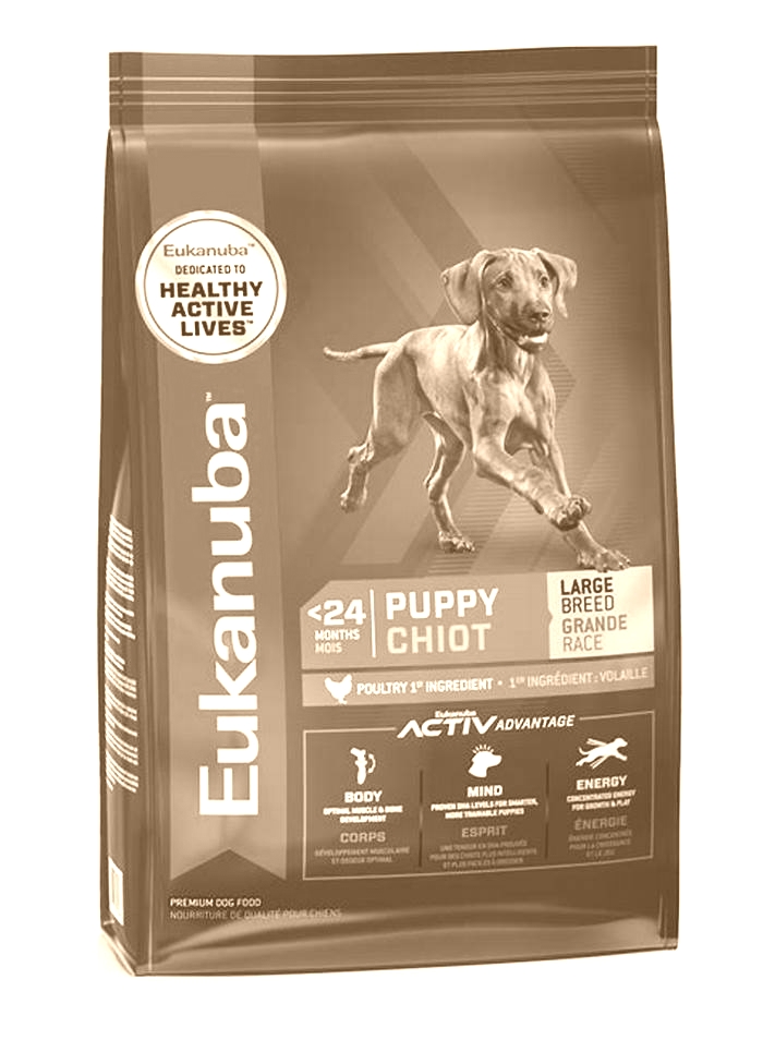 Size-Specific Excellence: Understanding the Superiority of Eukanuba's Large Breed Puppy Formulas