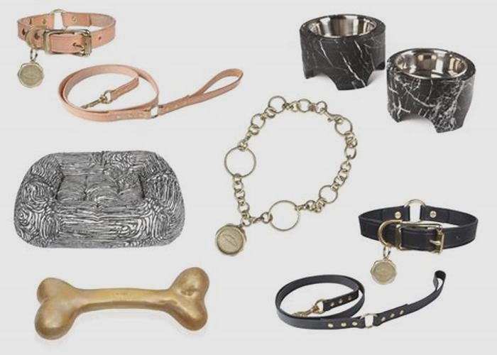 Specialty Dog Accessories Providing Your Pet with Exceptional Style