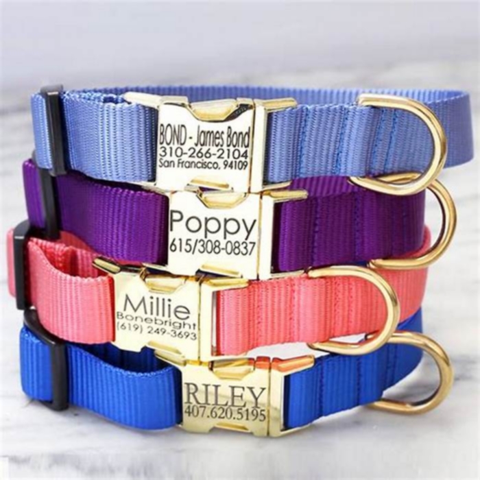 Specialty Dog Collars: Providing Your Pet with Exceptional Accessories