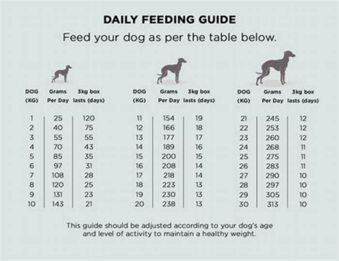 Specialty Dog Diets: Crafting Customized Nutrition Plans for Your Furry Friend