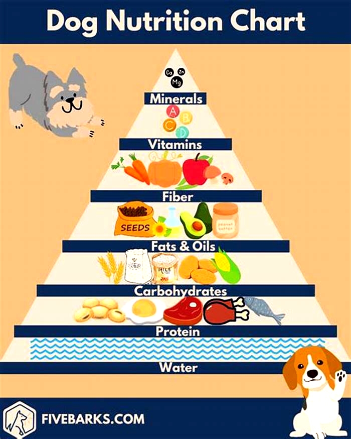 Specialty Dog Formulations Tailoring Diets to Suit Your Pet s Requirements