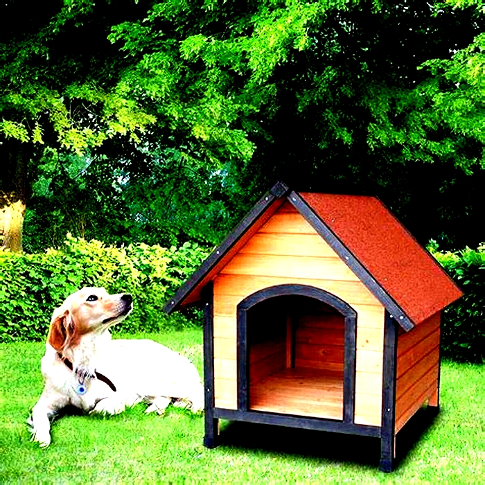 Specialty Dog Houses: Providing Your Pet with Exceptional Shelter