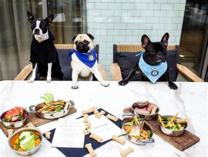 Specialty Dog Meals: Providing Your Pet with Exceptional Dining Experiences