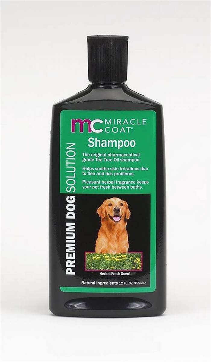 Specialty Dog Shampoos: Providing Your Pet with Exceptional Care