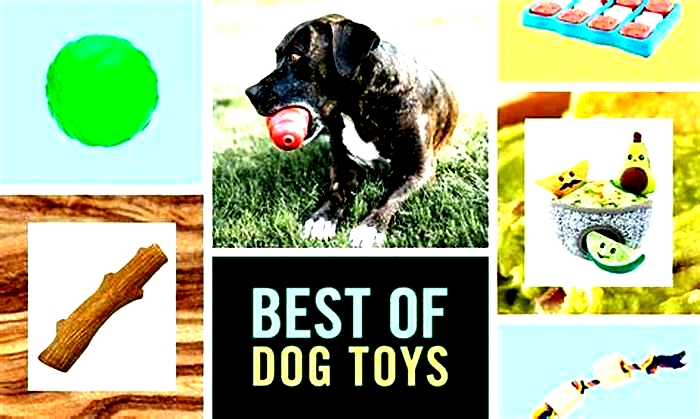 Specialty Dog Toys: Providing Your Pet with Exceptional Playthings