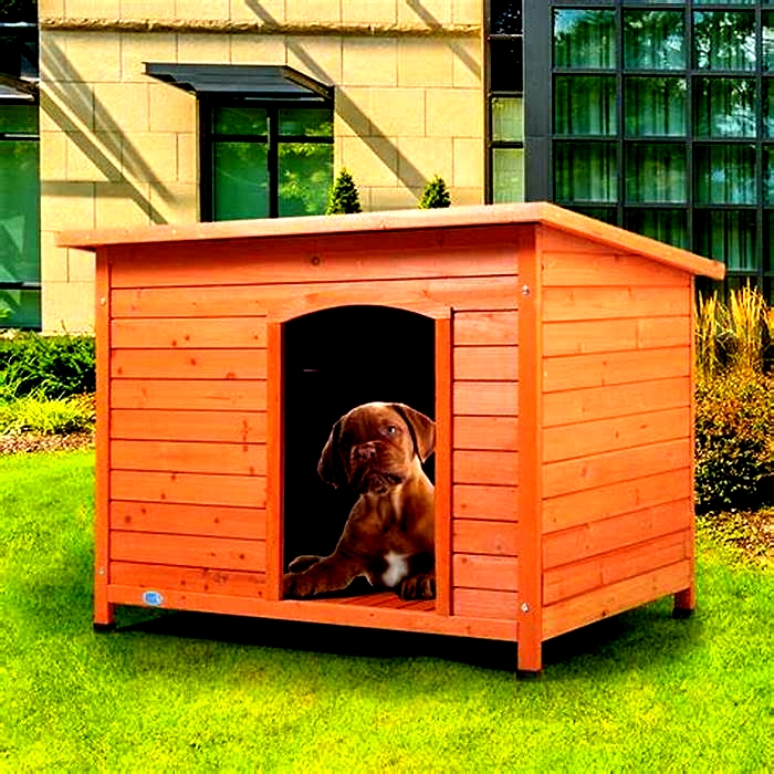 Specialty Pet Houses Spoiling Your Dog with Exceptional Shelter