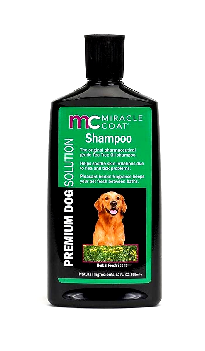 Specialty Pet Shampoos Spoiling Your Dog with Exceptional Care