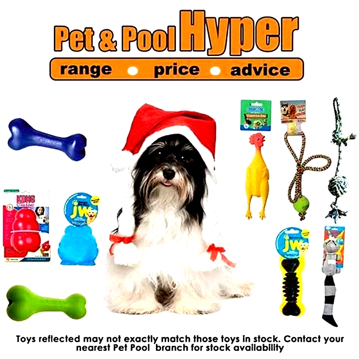 Specialty Pet Toys Spoiling Your Dog with Exceptional Playthings