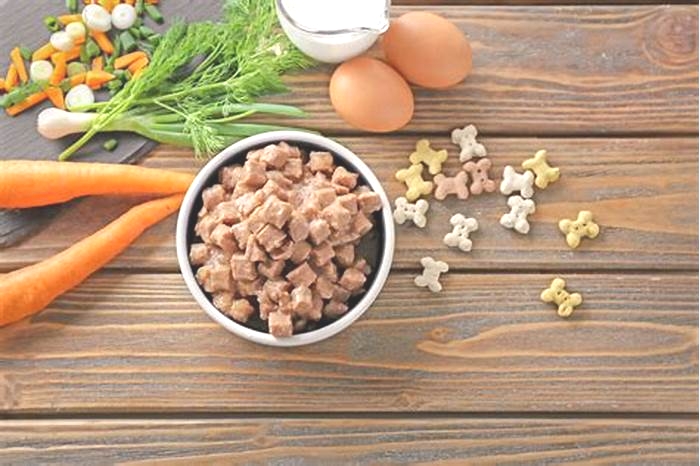 Supporting Canine Health: Understanding the Benefits of Gain Dog Food