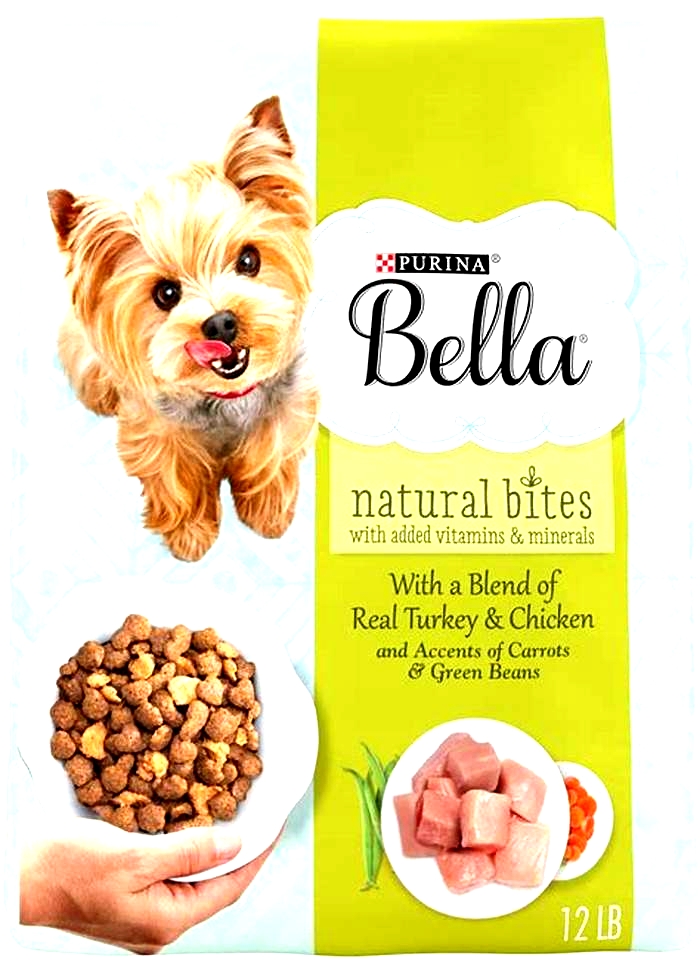 Supporting Your Dog's Growth: The Role of Bella Dry Dog Food