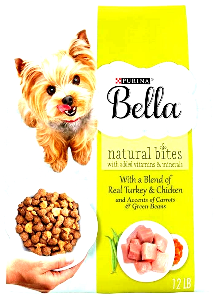 Supporting Your Dog s Health Journey The Benefits of Bella Dry Dog Food