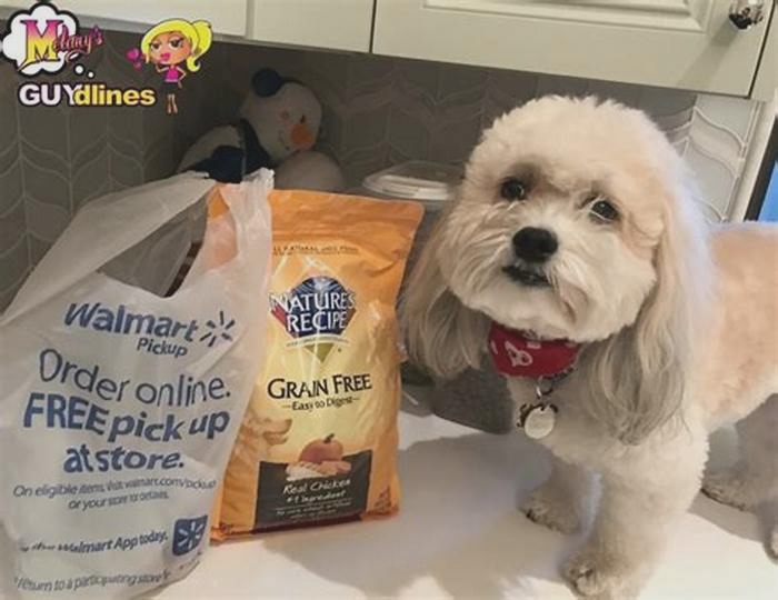 Tail-Wagging Delicacies: Exploring Unique Dog Food Offerings