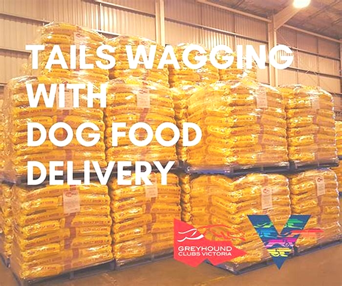 Tail-Wagging Feasts: Exploring Specialty Dog Food Offerings