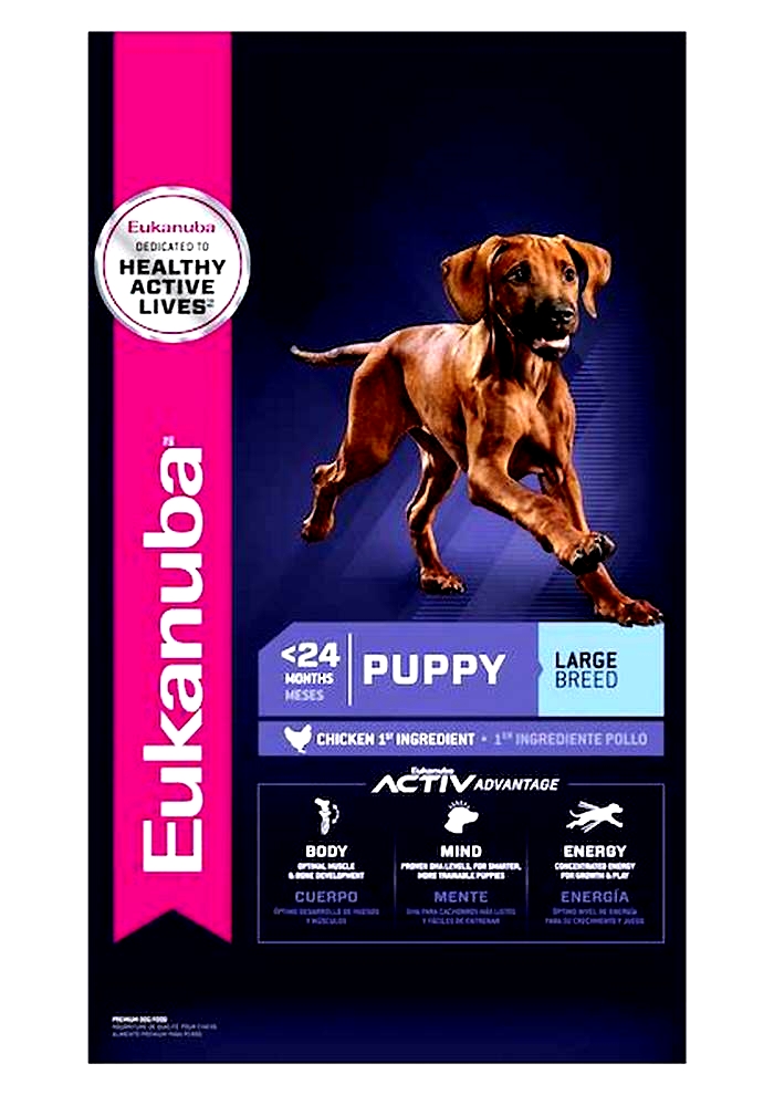 Tail Wagging Goodness Why Eukanuba s Large Breed Puppy Formulas Reign Supreme