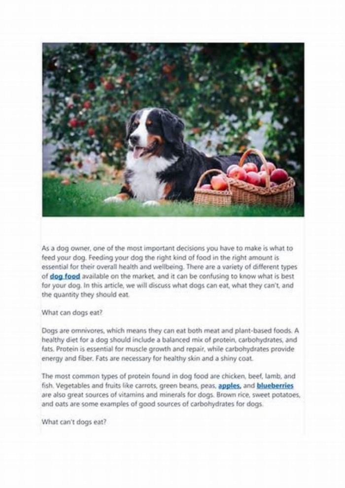 Tail Wagging Nutrition Discovering the Benefits of Bella Pet Food