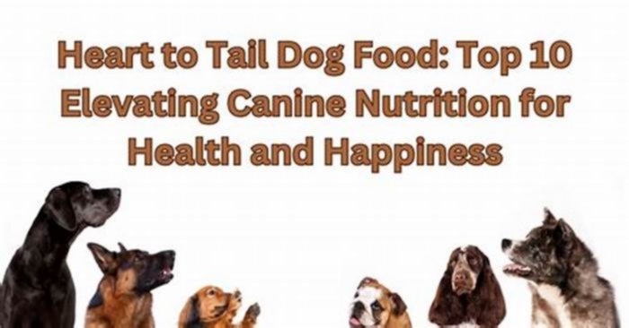 Tail Wagging Nutrition Elevating Your Dog s Diet with Gain Dog Food