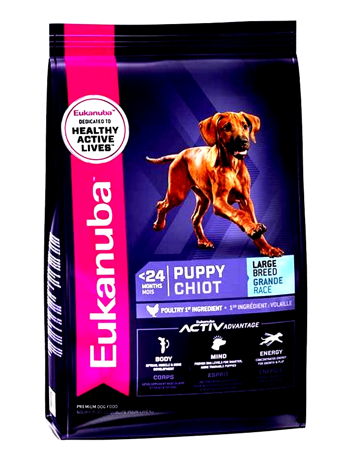 Tail-Wagging Nutrition: How Eukanuba's Large Breed Puppy Formulas Promote Overall Well-Being