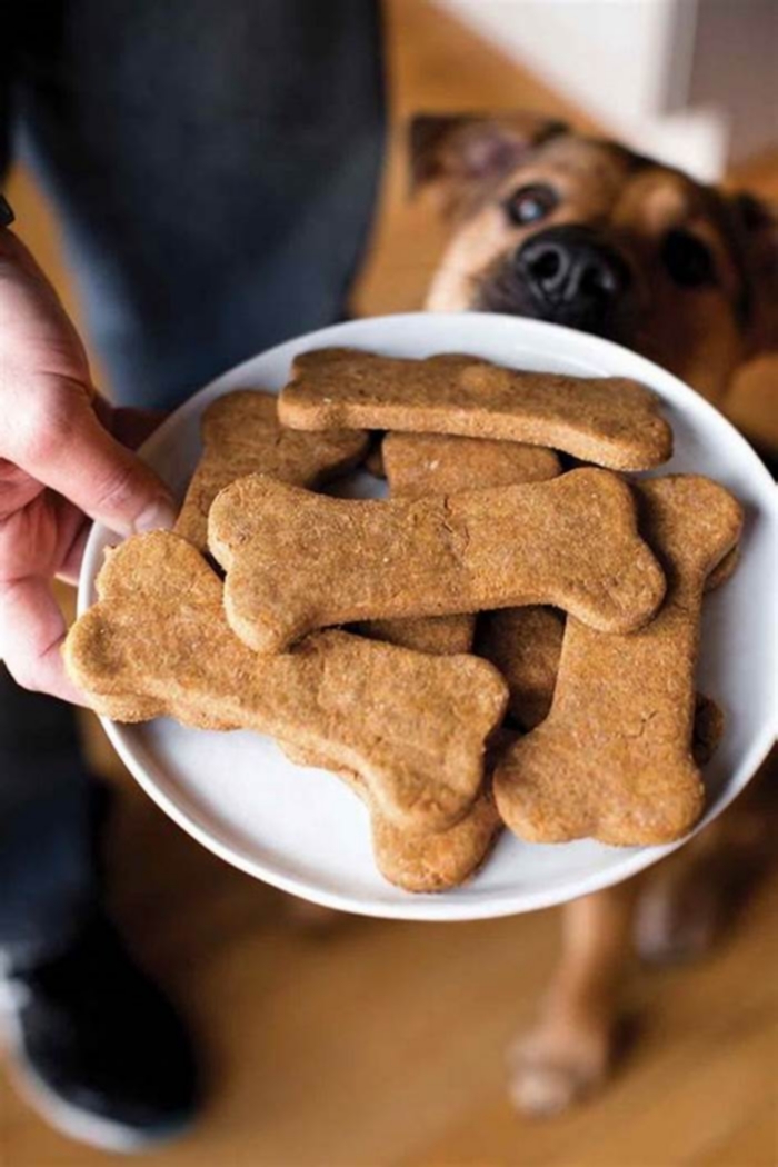 Tail Wagging Snacks Exploring Unique Dog Treats