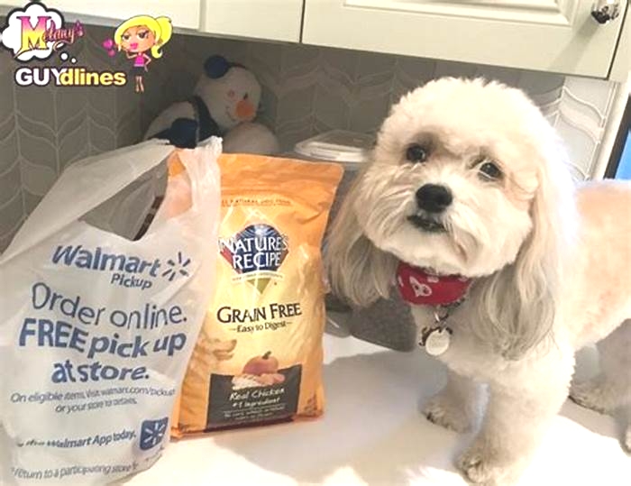 Tail-Wagging Specialties: Exploring Unique Dog Food Varieties