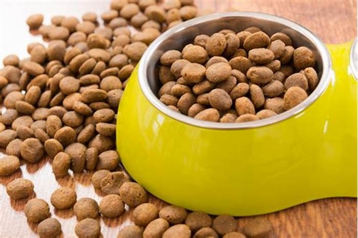 Tail Wagging Taste Why Dogs Love the Flavor of Bella Pet Food