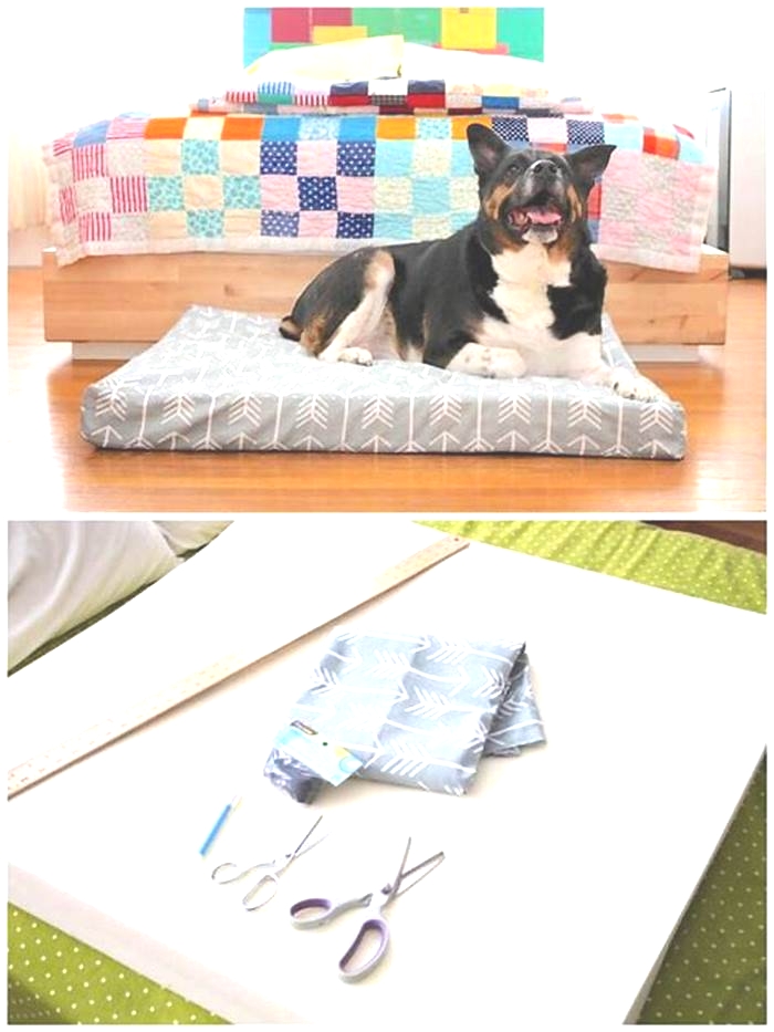 Tailored Dog Beds Crafting Beds to Suit Your Pet s Preferences