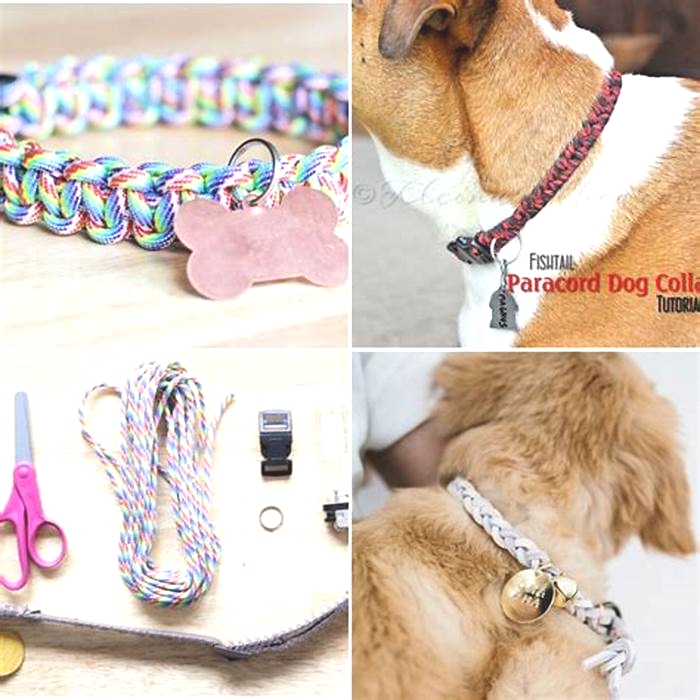 Tailored Dog Collars Crafting Collars to Suit Your Pet s Preferences