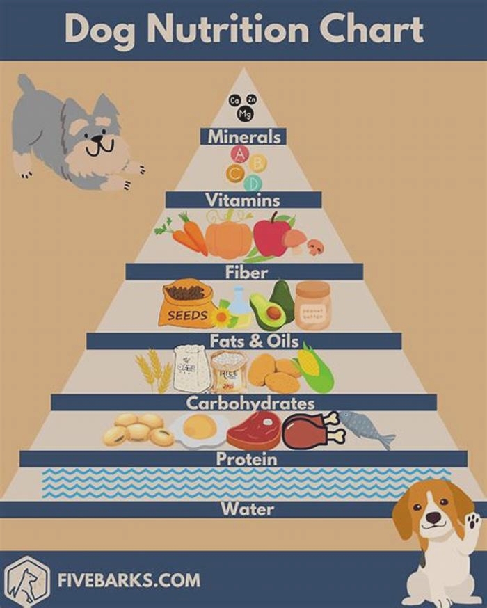 Tailored Dog Diets Crafting Nutrition Plans to Suit Your Pet s Needs