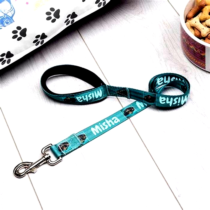 Tailored Dog Leashes: Crafting Leashes to Suit Your Pet's Preferences