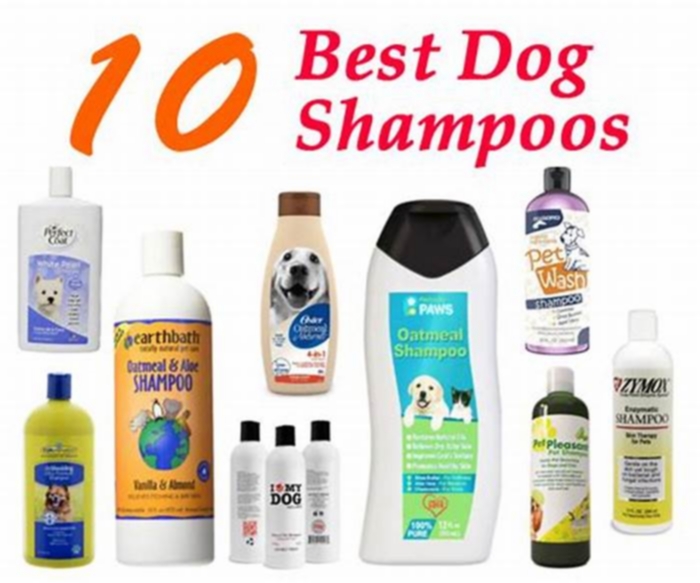 Tailored Dog Shampoos: Crafting Shampoos to Suit Your Pet's Preferences