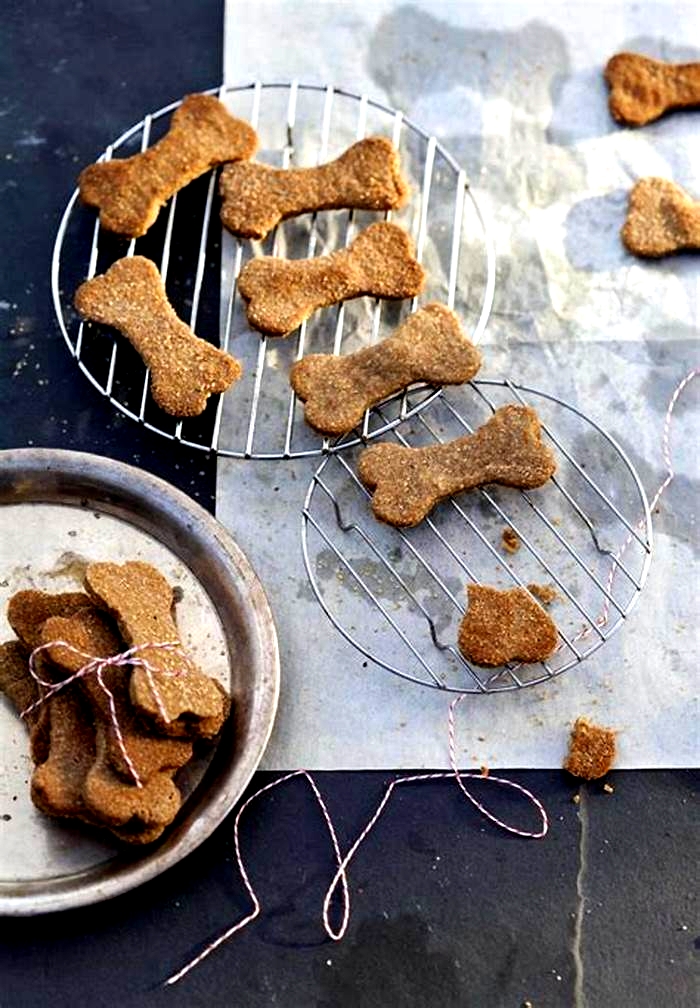 Tailored Dog Snacks: Crafting Treats to Meet Your Pet's Preferences