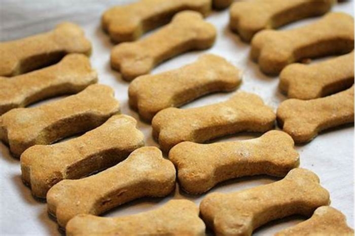 Tailored Dog Treats: Spoiling Your Pet with Premium Snacks