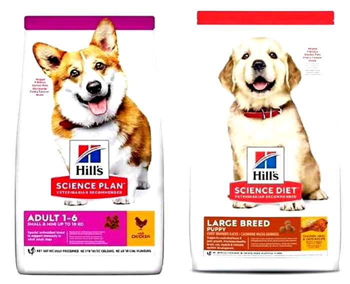 Tailored Nutrition Understanding the Benefits of Hill s Science Plan Dog Food