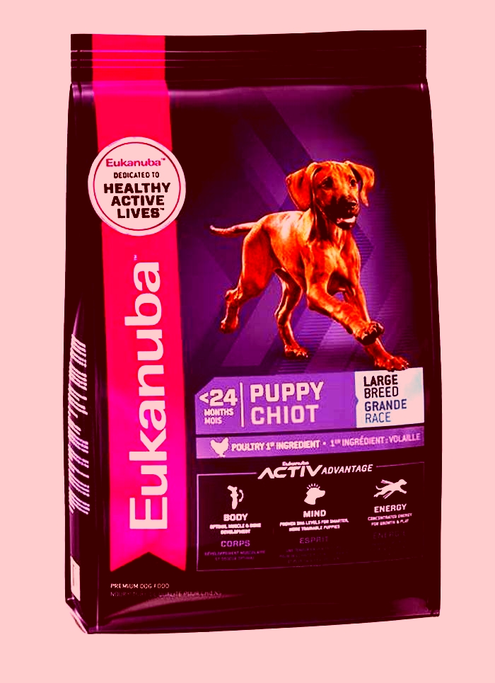 Tailored Nutrition Unlocking the Secrets of Eukanuba s Large Breed Puppy Formulas