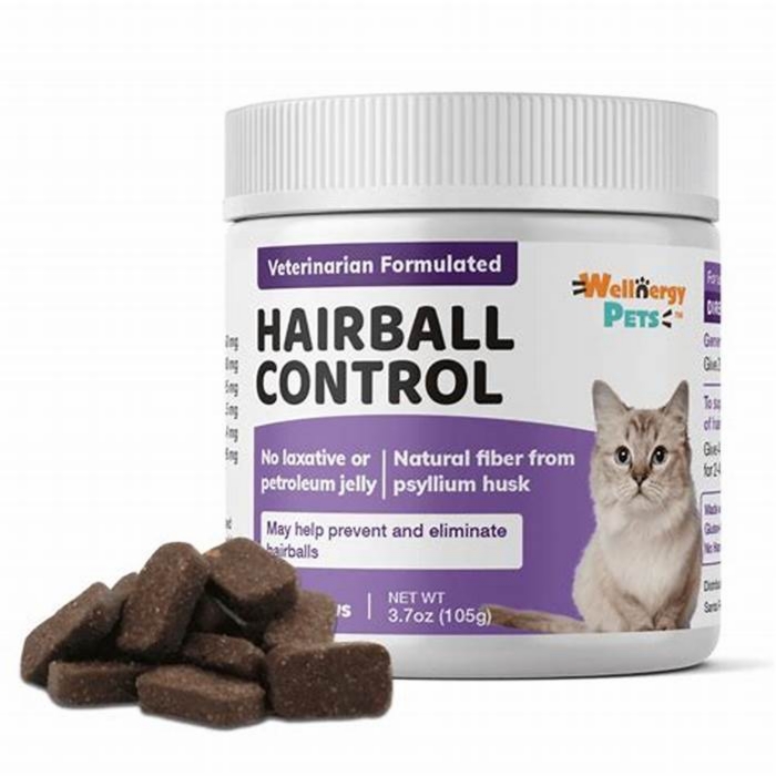 Taming the Hairball Beast: Exploring Solutions for Cat Hairball Control