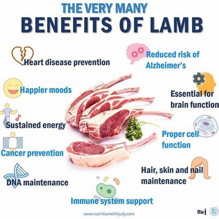 The Benefits of Lamb Why Acana s Lamb Based Diets Stand Out