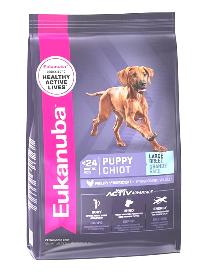 The Big Picture: Exploring the Comprehensive Nutrition of Eukanuba's Large Breed Puppy Formulas