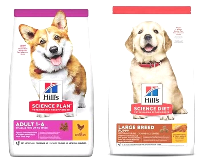 The Power of Science in Every Bite: Exploring Hill's Science Plan Dog Food