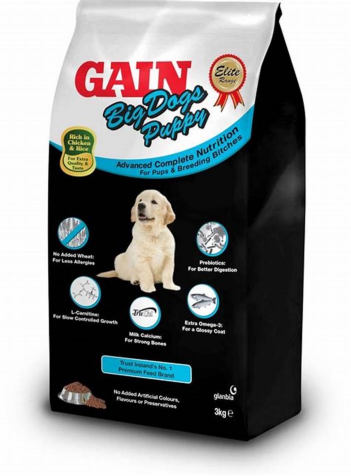 The Science Behind Gain Dog Food: What Makes It Exceptional?