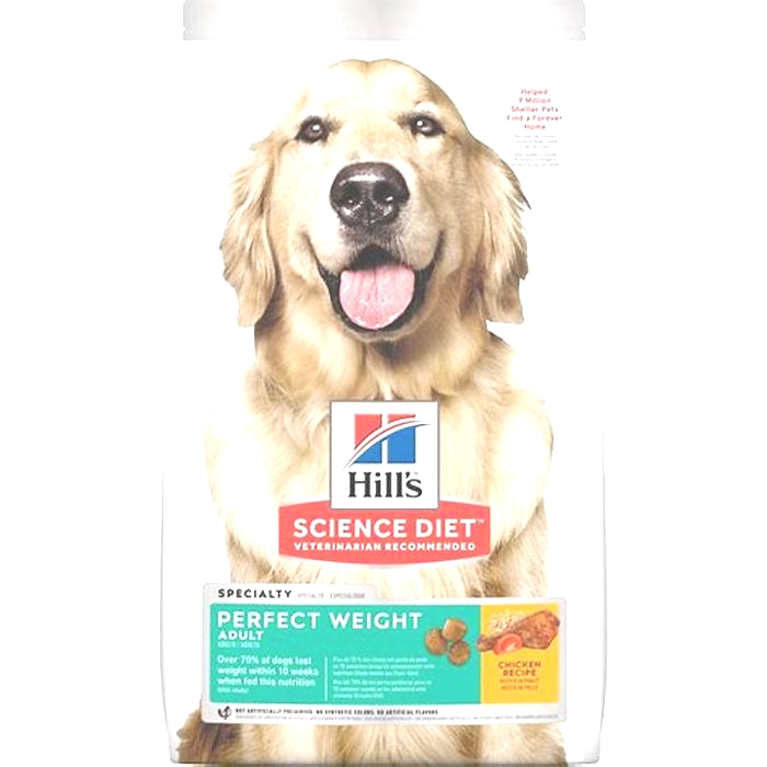 The Science of Balanced Nutrition How Hill s Science Diet Dog Food Supports Well Being