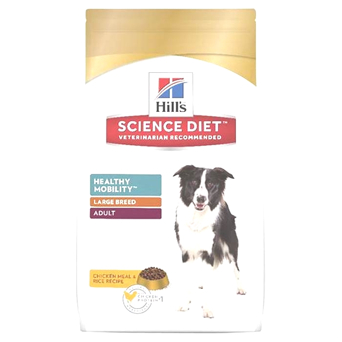 The Science of Canine Health: Why Hill's Science Diet Dog Food Is a Smart Choice