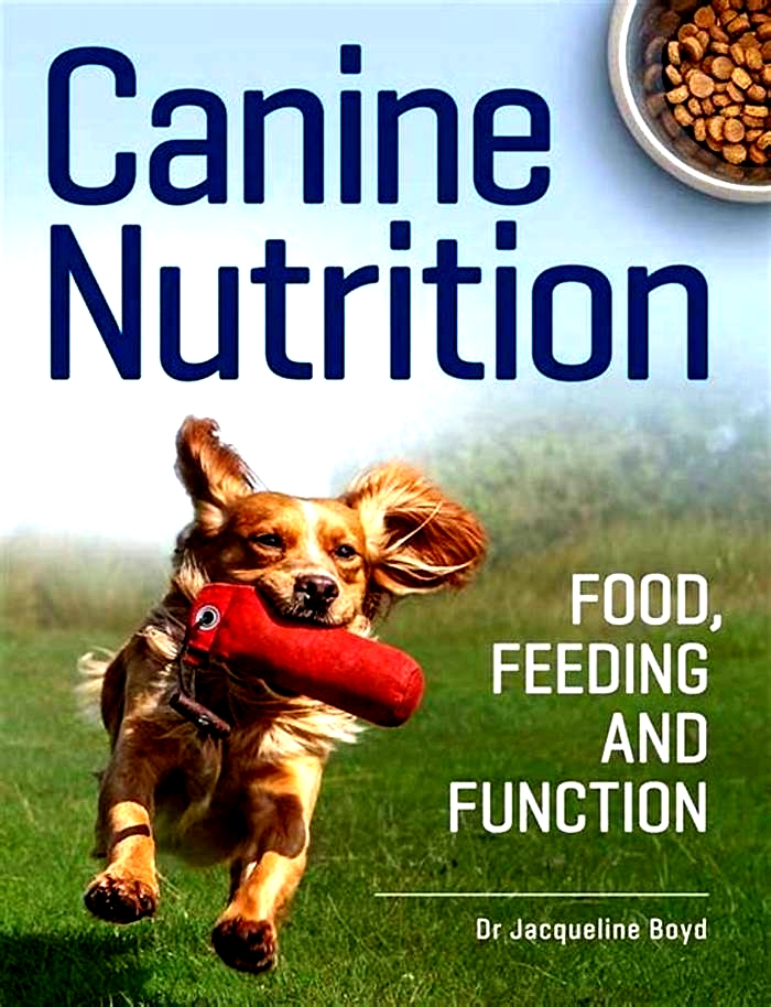 The Science of Complete Canine Nutrition: Exploring Gain Pet Food