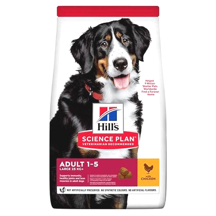 The Science of Quality Nutrition: How Hill's Science Plan Dog Food Sets the Standard