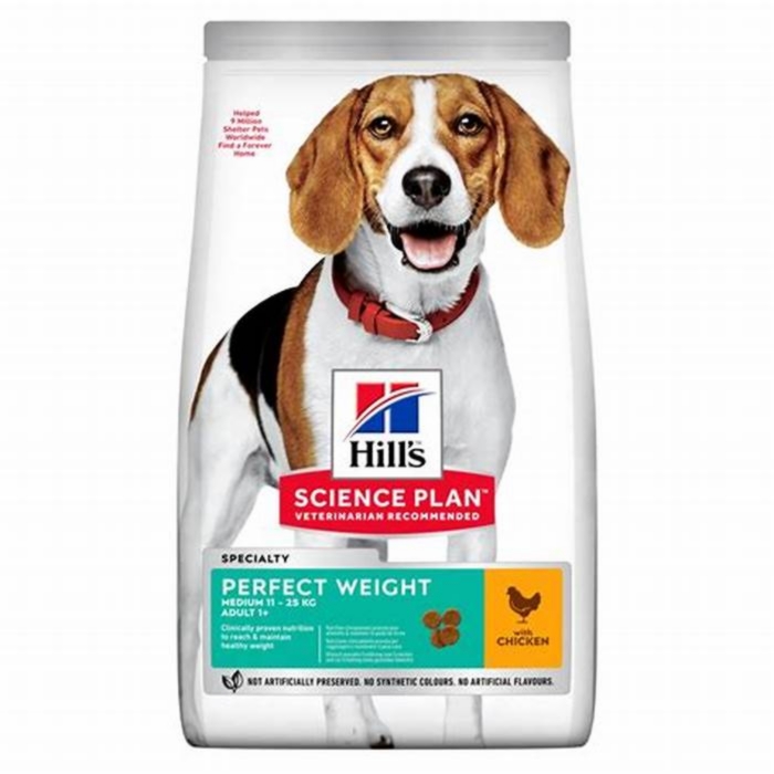 The Science of Wellness: How Hill's Science Plan Dog Food Supports Overall Well-Being