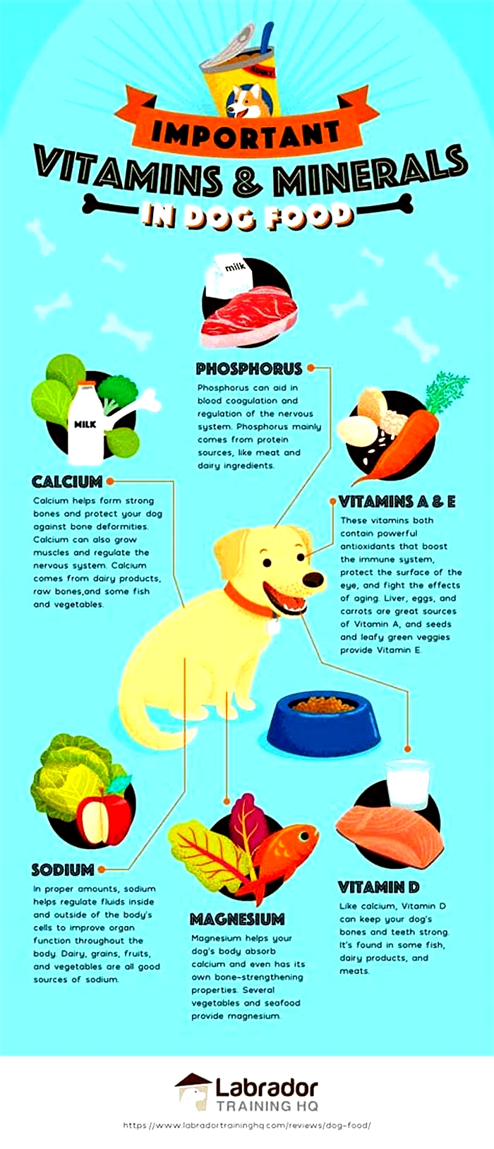 The Ultimate Guide to Gain Dog Food Everything You Need to Know