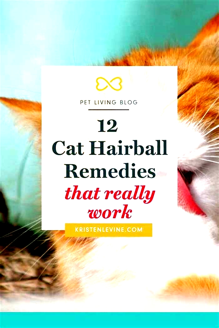 The Ultimate Guide to Hairball Control Treatments for Happy Cats