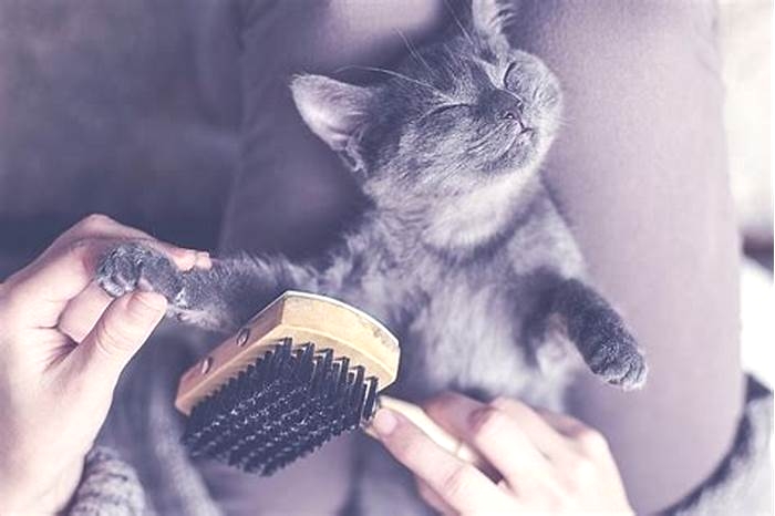 The Ultimate Guide to Hairball Control for Cats: Tips and Tricks